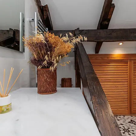Apartment Baruhaus Atico Guzman