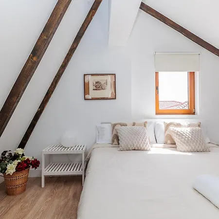 Lejlighed Baruhaus Atico Guzman *