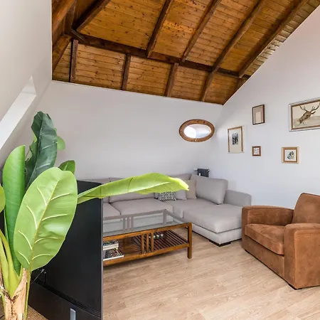 Baruhaus Atico Guzman *