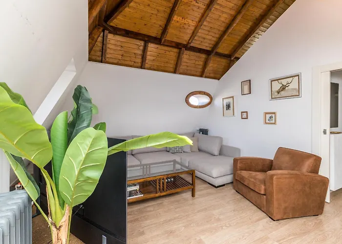 Baruhaus Atico Guzman *